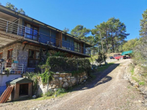 'Hypatia Olimpos